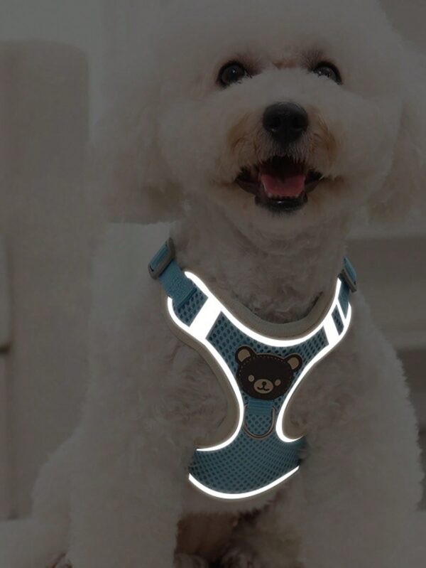 2pcs Breathable Pet Harness & Leash Set For Dog And Cat For Outdoor - Image 12