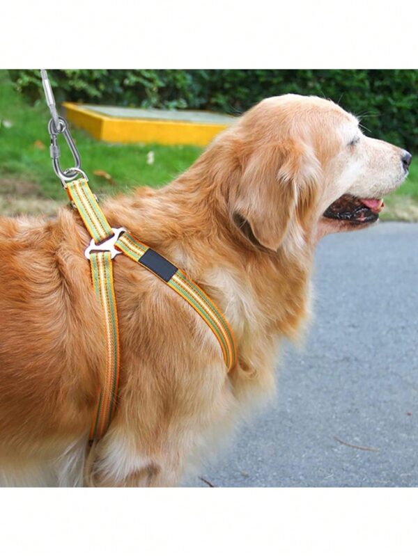 Steel Dog Chain, Stainless Steel Buckle - Image 6