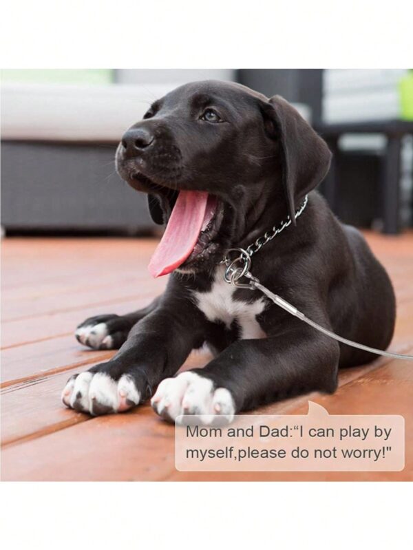Steel Dog Chain, Stainless Steel Buckle - Image 10