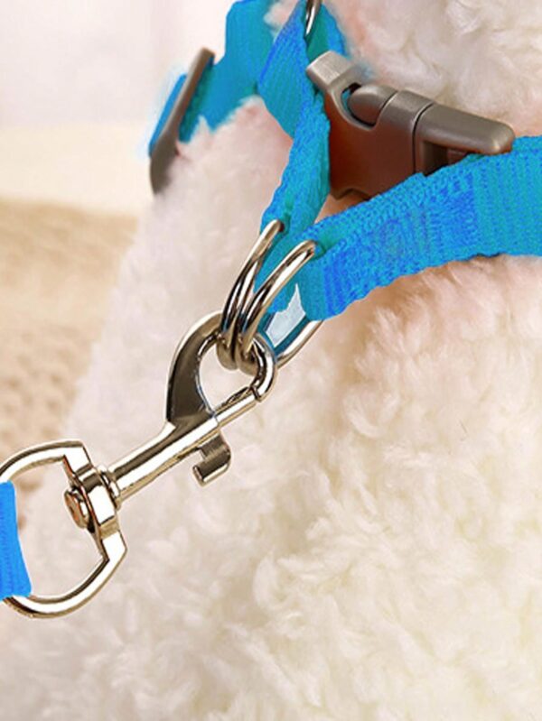 2pcs Breathable Pet Harness & Leash Set For Dog And Cat For Outdoor - Image 17