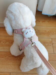 Adjustable Pet Harness Leash For Cats, H-Type Anti-Escape Cat Walking Vest, For Outdoor Use Only